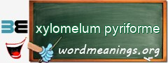 WordMeaning blackboard for xylomelum pyriforme